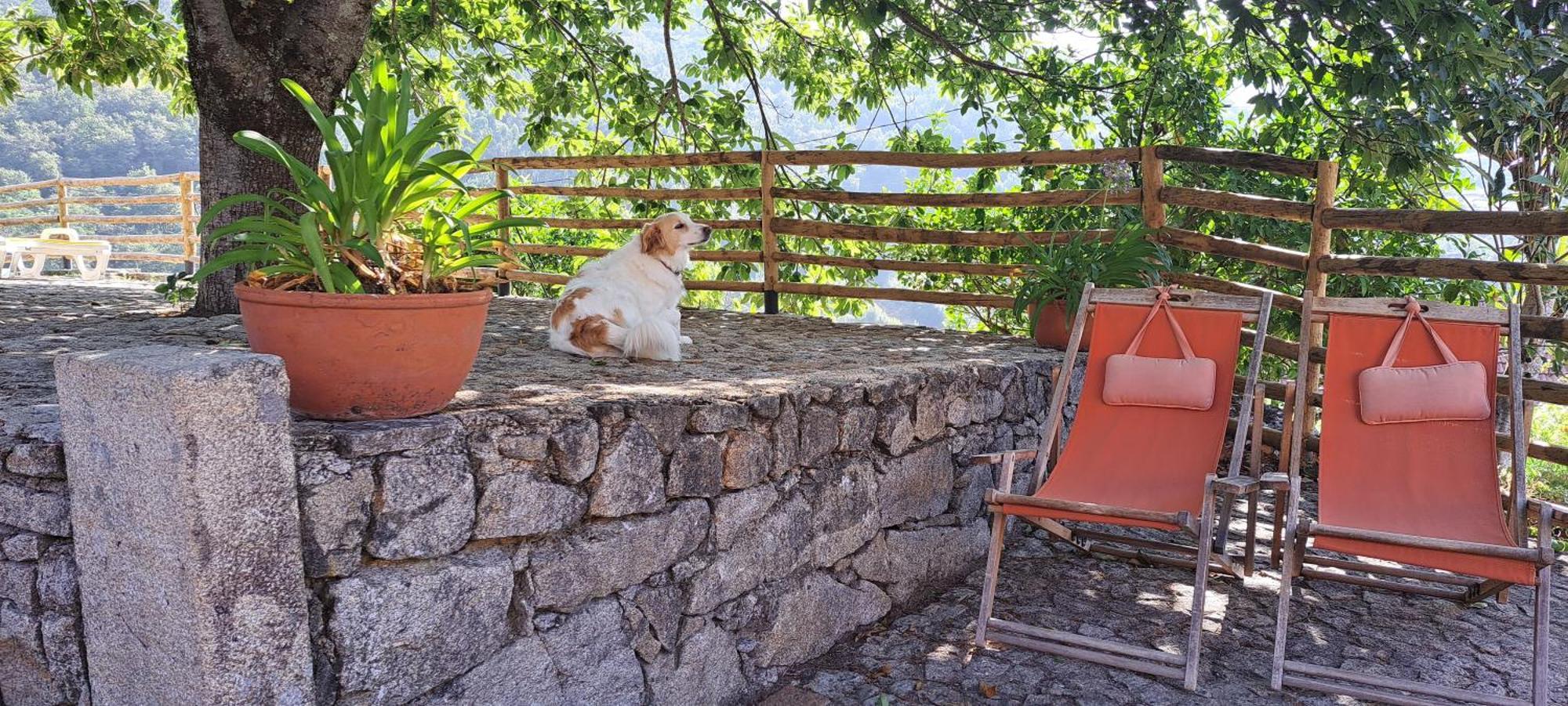 Refugio Dos Cartolas Sao Mamede de Infesta Екстер'єр фото