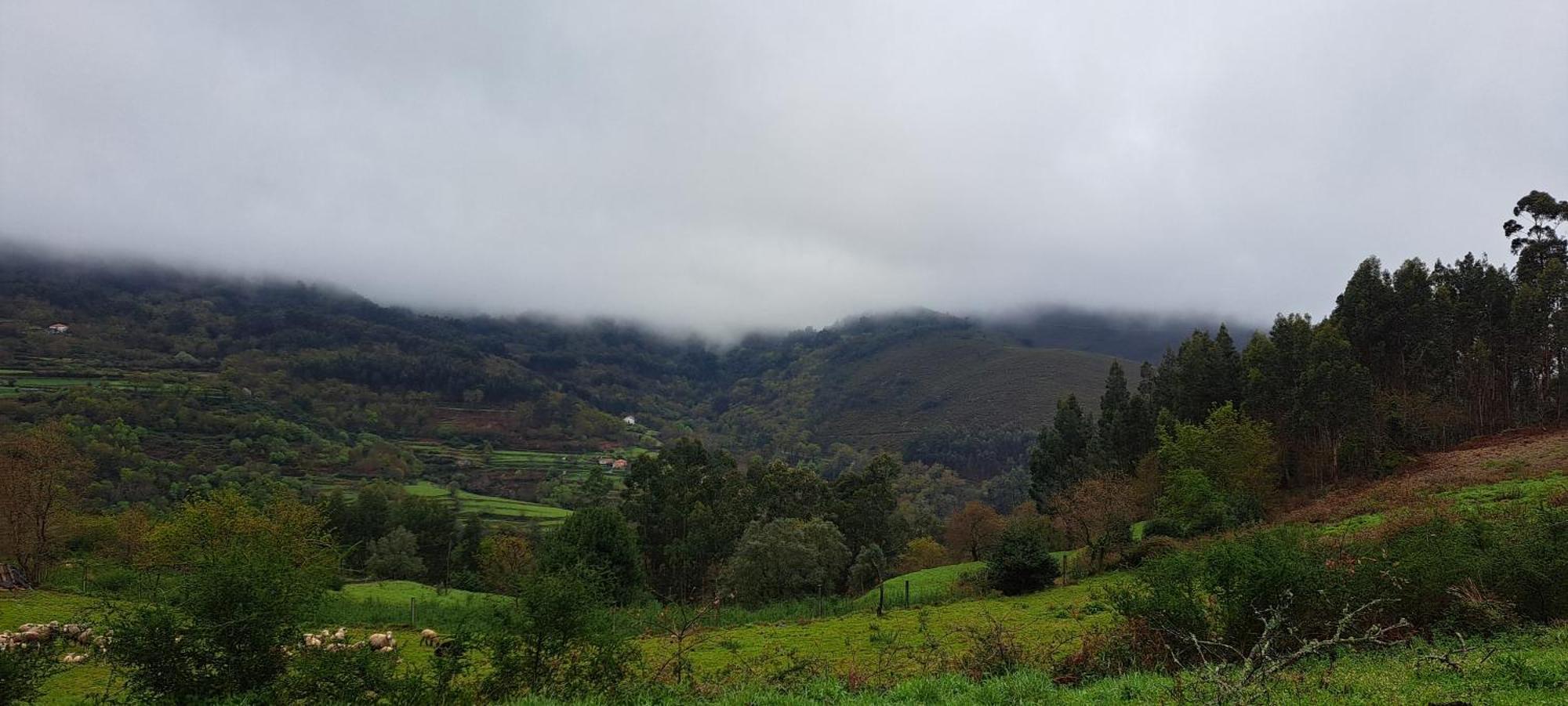 Refugio Dos Cartolas Sao Mamede de Infesta Екстер'єр фото