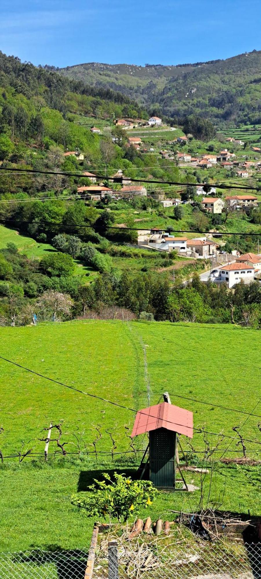 Refugio Dos Cartolas Sao Mamede de Infesta Екстер'єр фото